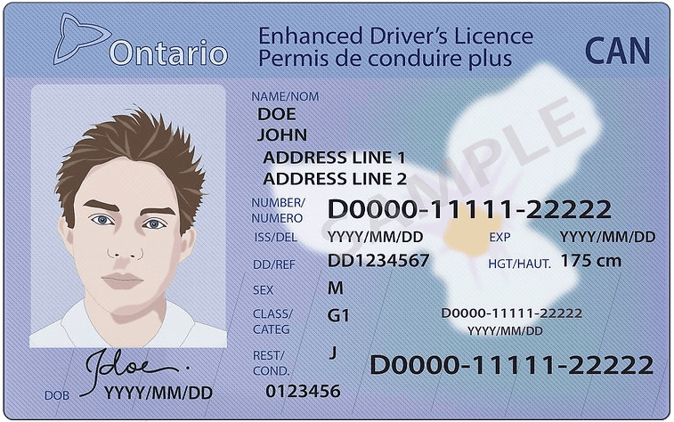 ontario-driving-license.png